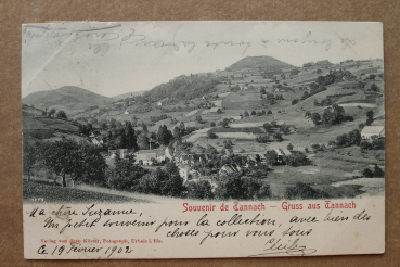 Ansichtskarte AK Gruss aus Tannach Orbey Elsass 1902 Straße Häuser Dorf Felder Umgebung Ortsansicht Frankreich France 68 Haut Rhin